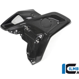 Tub admisie stânga carbon BMW R 1250 GS (2018-2023) [WKL.026.GS19T.K] - Ilmberger Carbon