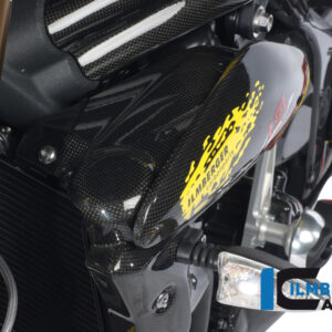 Panou stânga carbon Triumph Speed Triple (1999-2024) - Ilmberger Carbon