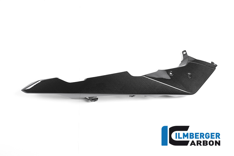 Aripă față stânga carbon BMW R 1200 GS Adventure (2013-2018) - Ilmberger Carbon - imagine 2
