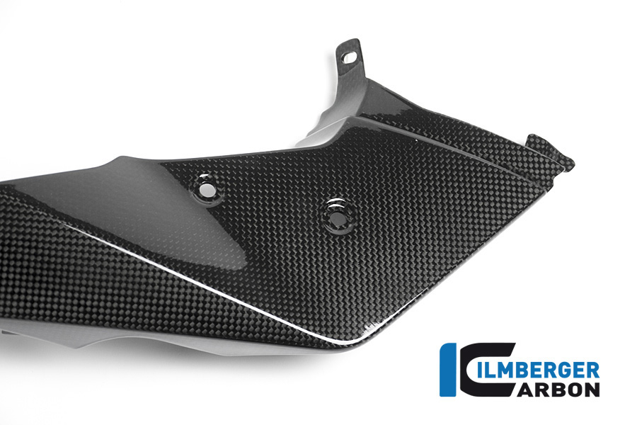 Aripă față stânga carbon BMW R 1200 GS Adventure (2013-2018) - Ilmberger Carbon - imagine 4
