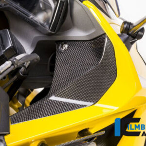 Capac bord dreapta carbon BMW R 1200 RS (2014-2018) - Ilmberger Carbon