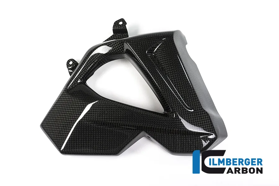 Capac radiator dreapta carbon BMW F 800 R (2006-2016) [WKR.104.F8R15.K] - Ilmberger Carbon