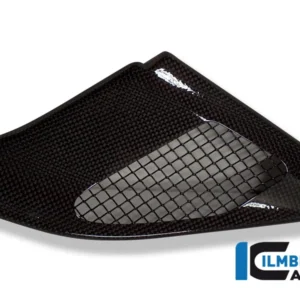 Capac carbon BMW R 1200 GS (2004-2009) - Ilmberger Carbon