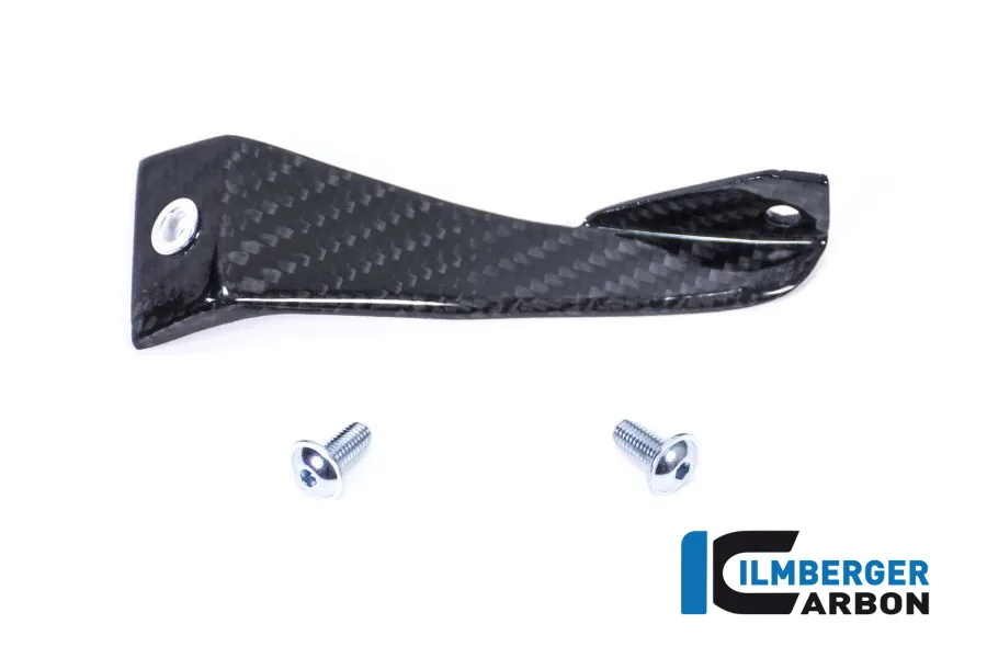 Carenaj carbon BMW S 1000 RR (2017-2018) - Ilmberger Carbon